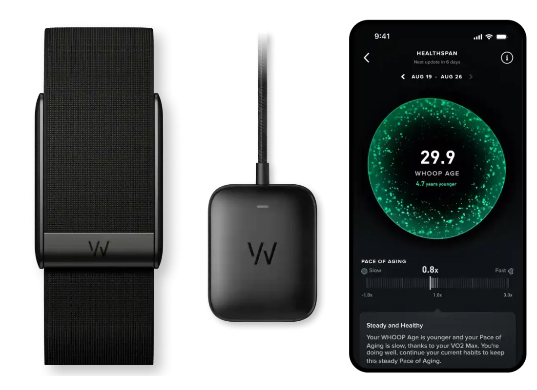 Peak what s in the box - icity.ge