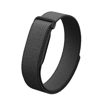 Google Fitbit Air