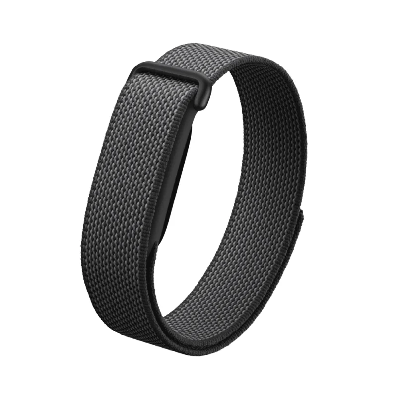 Google Fitbit Air